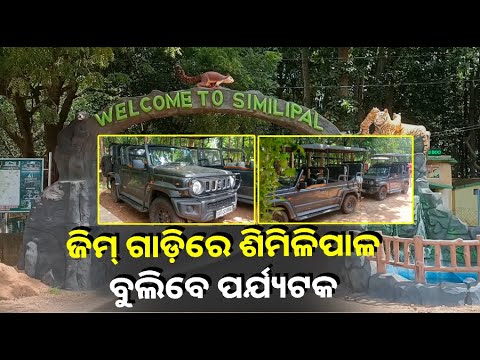 ଶିମିଳିପାଳ ଅଭୟାରଣ୍ୟରେ କୋର୍ ଅଞ୍ଚଳ ବୁଲିବା ପାଇଁ ପହଂଚିଛି ୩0ଟି  ମାରୁତି ଜିମ ଗାଡି || Knews Odisha