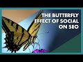The Butterfly Effect of Social Media on SEO