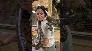 Anaconda’s are Incredibly Strong😳🤩