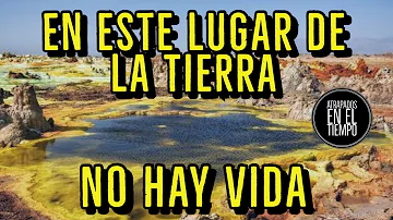 ¿En qué lugar de la Tierra no hay vida?