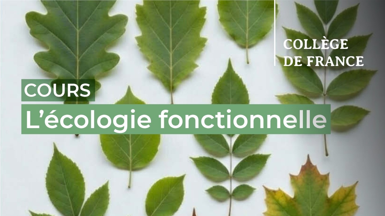 L'écologie fonctionnelle... (1) - Sandra Lavorel (2025-2026)