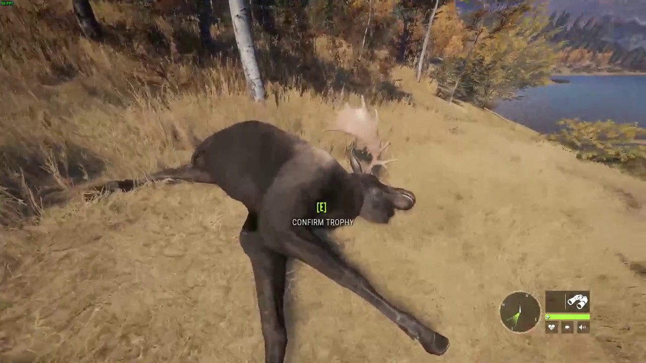 thehunter call of the wild coyote thehunter call of the wild coyote