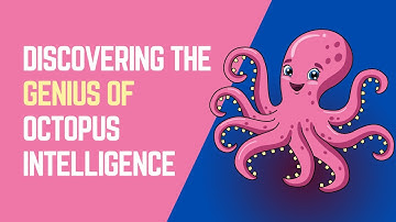 Discovering the Genius of Octopus Intelligence