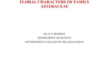 M.Sc.Botany Sem.III, Paper XIII, Floral Chara of Asteraceae By Dr.O.P. Sharma,Dept.of BotanyGC Bundi