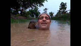 Man greeted by Otter Pup in the water