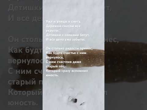 Он столько радости принес, Как будто счастье с ним….