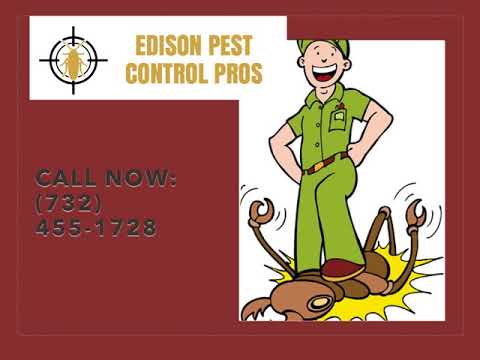 Pest Control Edison Nj