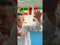 كيفية استخدام لكمات الدفاع في الكونغ فو النمر