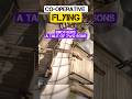 Co-operative flying. Brothers: A Tale of Two Sons #brother #coop