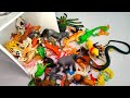 Plastic animals Unboxing order Flipkart | animals collection Cat,Dog, Elephant,Tiger,Horse....13+