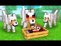 Baby JJ Adopted by Wolves - Sad Story - Maizen Minecraft Animation