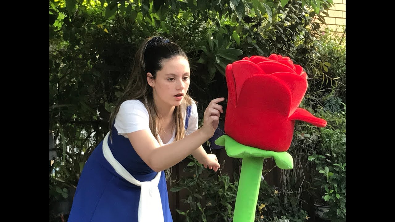 Beauty and the Beast Delfer Entertainment