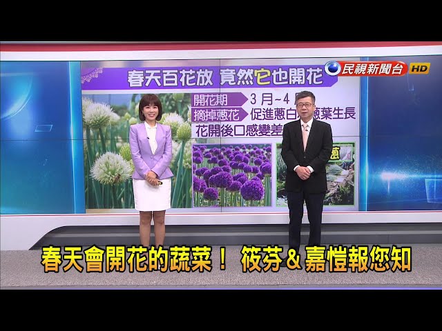 2024/2/20 【早安嘉芬】春天多彩！ 不只花朵綻放 連蔬菜也會開花－民視新聞