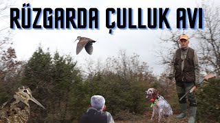 RÜZGARLI BİR GÜN ÇULLUK AVI (woodcock hunt )