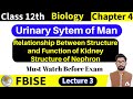 Biology Class 12 | Relationship Between Structure and Function of Kidney | Structure of Nephron |
