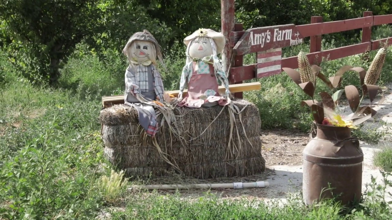 Amy's Farm in Ontario, California