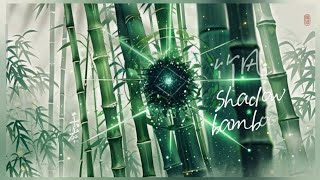 【国风音乐|水墨古竹】竹风- Shadow Bamboo〖舒缓/放松/专注〗