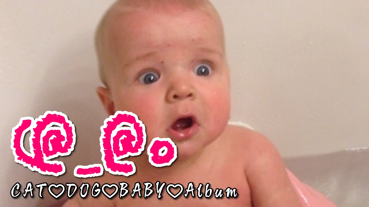赤ちゃんおもしろハプニング 可愛い赤ちゃんびっくり動画集 Baby Fun Happening Cute Baby Video Collection Youtube