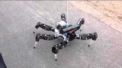 CSIRO Hexapod