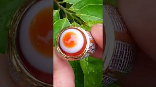 Batu puser bumi