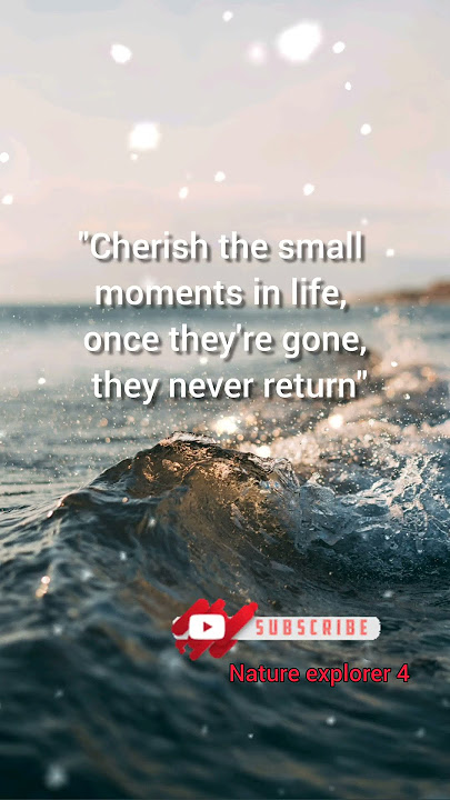 cherish the small moments #motivation #quotes #inspirationalquotes #trending #shorts #shortsfeed