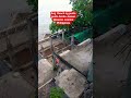 Ang Beach ng punta Gorda Jasaan Misamis oriental Philippines