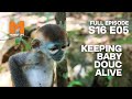 Keeping quy going  season 16 episode 5  full episode  monkey life