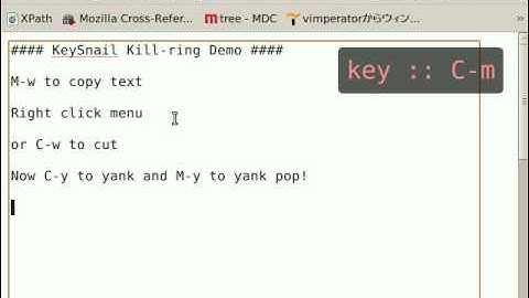 KeySnail kill ring demo