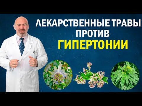 🌱 ЛЕКАРСТВЕННЫЕ ТРАВЫ ПРОТИВ ГИПЕРТОНИИ - травы от гипертонии, травы снижающие давление фитотерапия