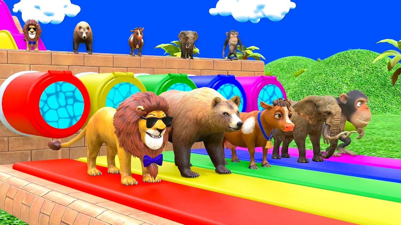 Long Slide Game with Cow Elephant Gorilla Monkey Tiger 3d Animal Game Funny 3d Animals