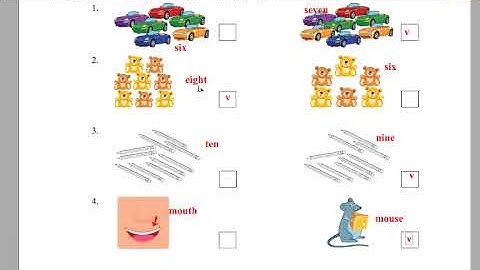 Giải Đề Thi Học Kì 2 Tiếng Anh Lớp 1 Smart Start (2023-2024) Test Unit 9