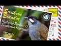 Tropical Birding Virtual Birding Tour of South Ecuador by Andres Vasquez