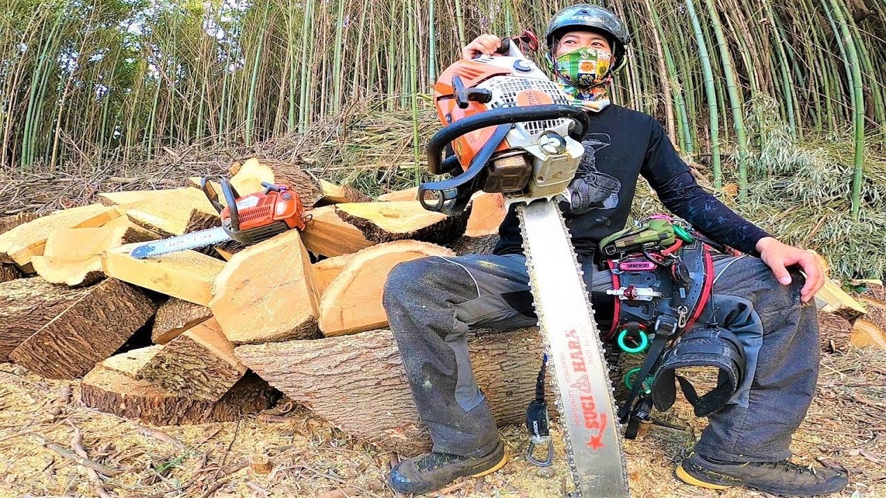 Fastest Cutting Big Tree Skill Chainsaw Machines,Amazing Fastest Wooden ...