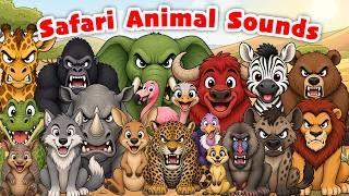Safari Animal Sounds Song 🦒 S For Toddlers 🎵 Littlekidstv