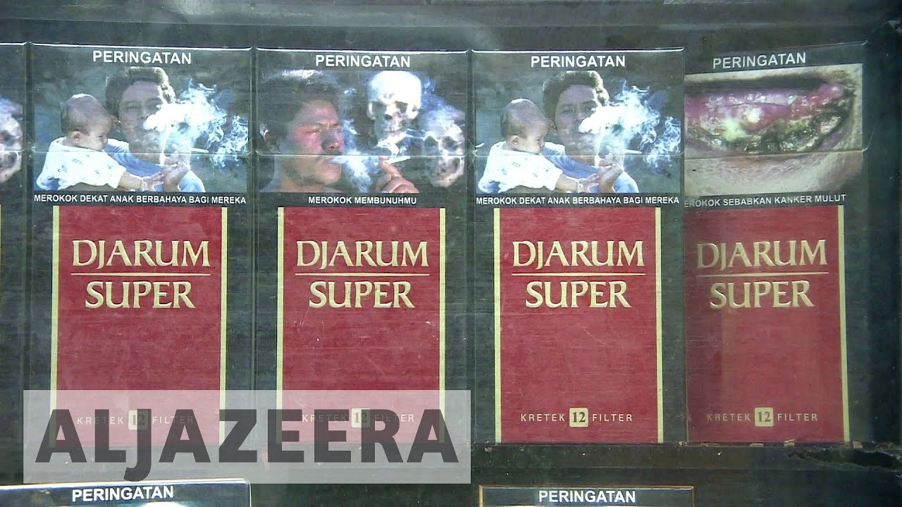 إندونيسيا تستعد لتوسيع إنتاج التبغ رغم التكاليف الصحية