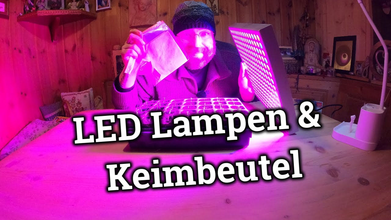 Tipps zum Umgang mit LED Anzuchtlampen und der Keimbeutelmethode