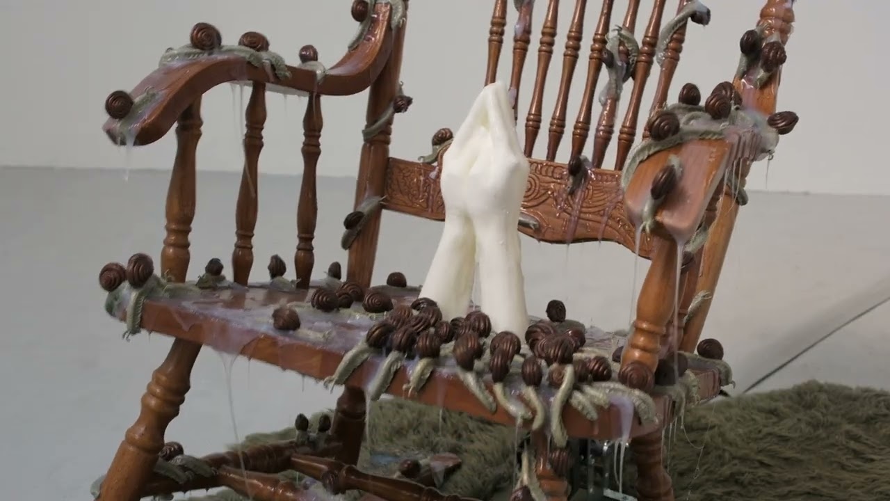 The Second Coming of Ann Lee - Judy Maxwell-McNicol