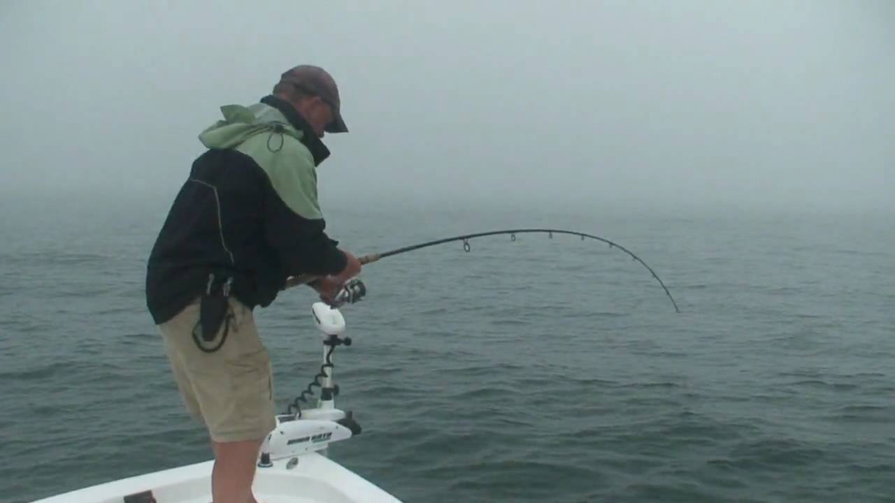 Block Island 47" Striper YouTube