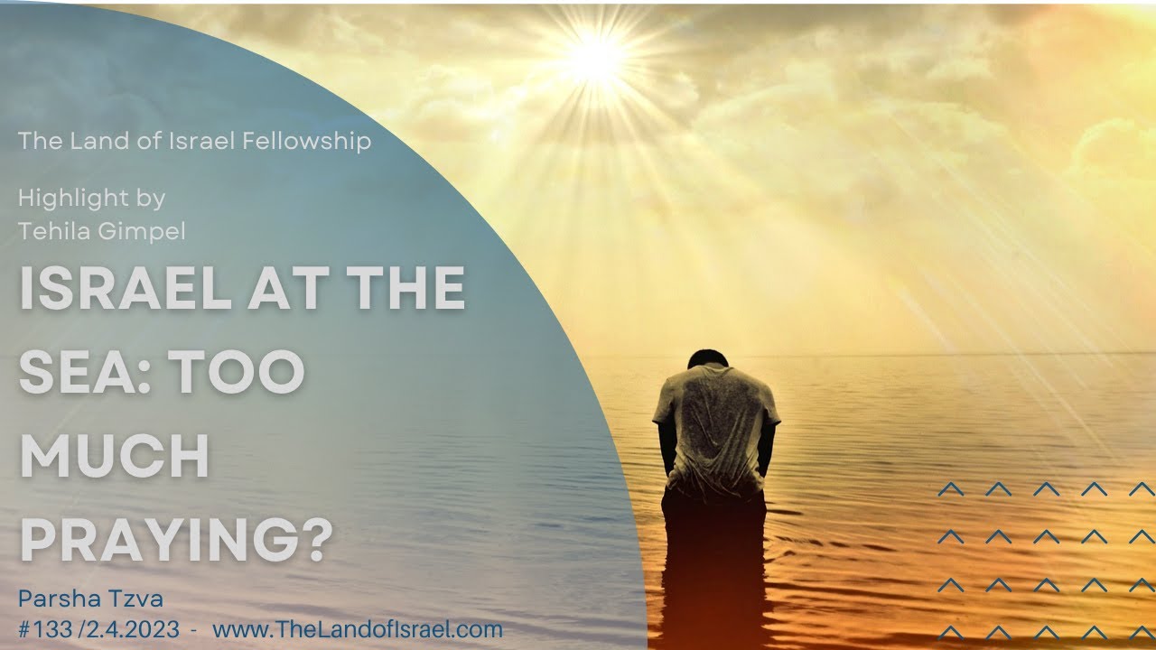 Israel at the Sea: Too Much Prayer?! - Tehila Gimpel (Parsha Tzva): The Land of Israel Fellowship