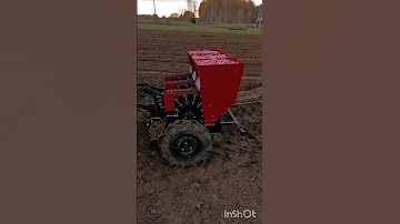 Посадили гектар чеснока за 4 часа 🚜