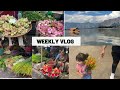 WEEKLY VLOG- Dadar Flower Market | Srinagar Trip | Mumbai Airport | Meet Bros Concert #vlog #youtube