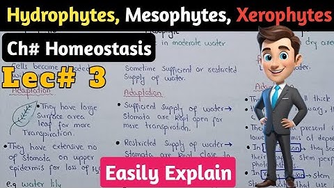Osmoregulation In Plants In Urdu Hindi | Hydrophytes, Mesophytes And Xerophytes