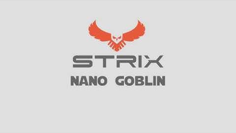 Strix Nano Goblin + DJI FPV = Insane