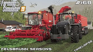 CARROT harvest and getting STUCK | Animals on Felsbrunn Seasons | Farming Simulator 19 | Episode 168