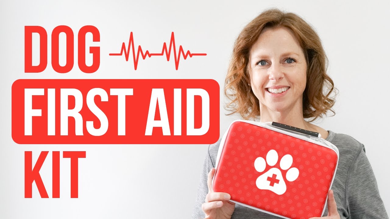 Dog First Aid Kit How To Make One And How To Use It Youtube
