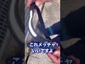 即買いしてしまったLEDライトの実力がハンパない！#shorts