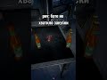 наел белочка #voicesofthevoid #votv #мем