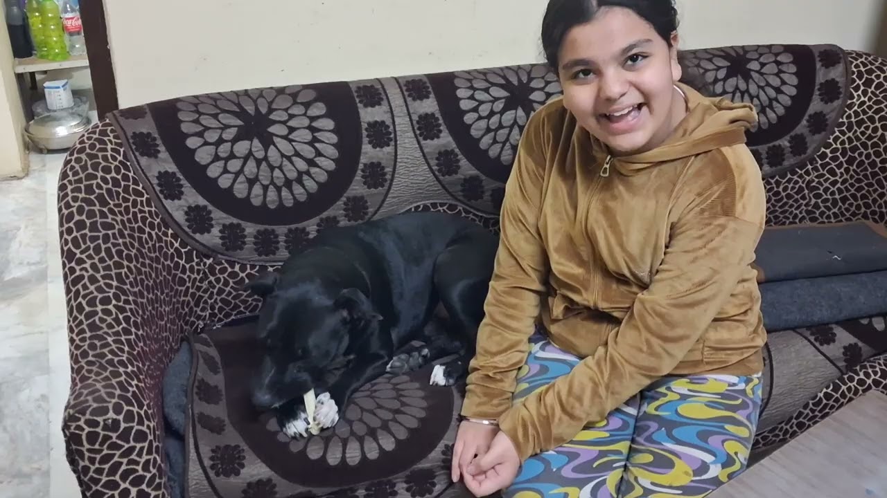 देखो चेरी क्या बोल रही है चेरी बहुत समझदार है🐕🥰👍👌👀 #dog #viral #video # punctual Cherry #YouTube 