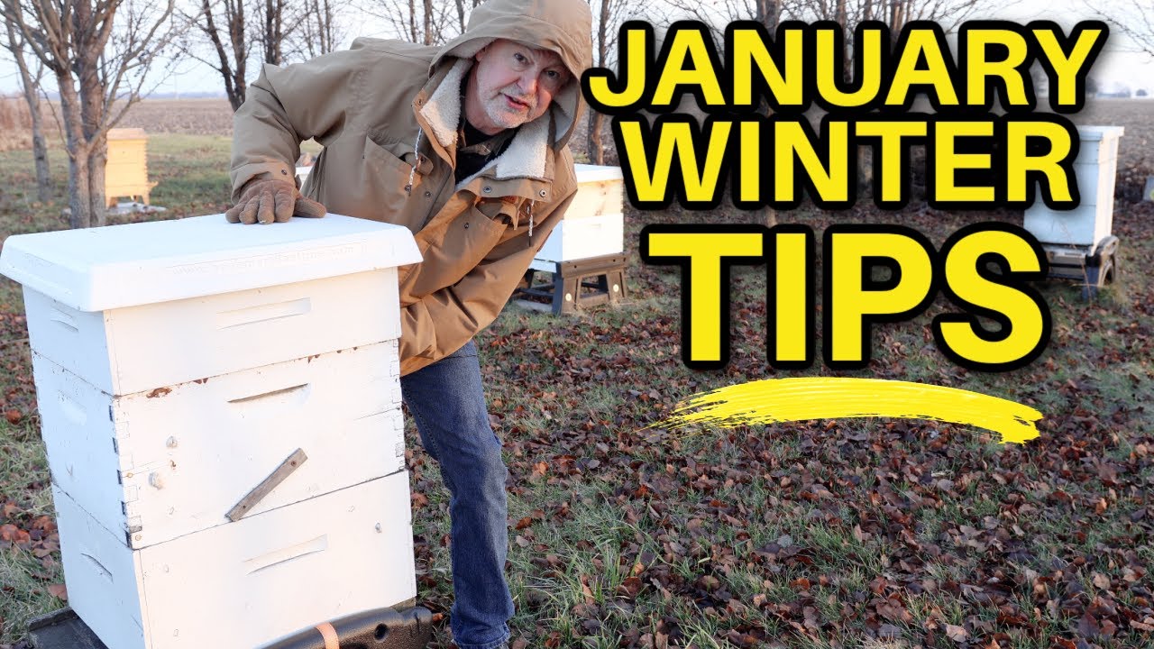 Beekeeping Tips For January: Navigating Winter Challenges - YouTube