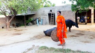 Village woman Daily working Routine // Indian Rural Life of punjab,, village Life of punjab